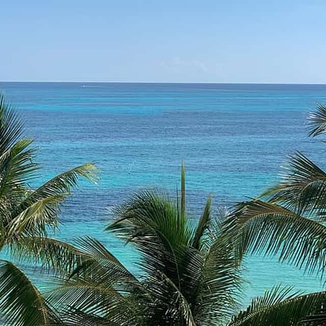 Half-Day Private Day Trip From Akumal to Cancun