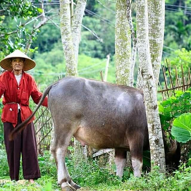 Pu Luong & Ninh Binh 3 Days Group Tour from Hanoi Old Quarter