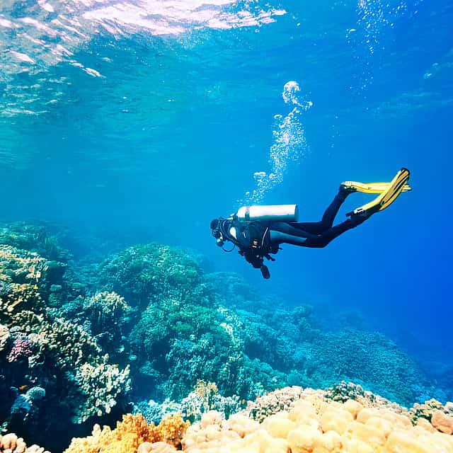Diving Experience in Antalya