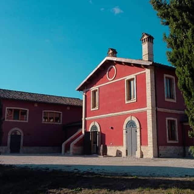 Marche: unique visit and tasting at Cantina D'Erasmo amidst signature wines
