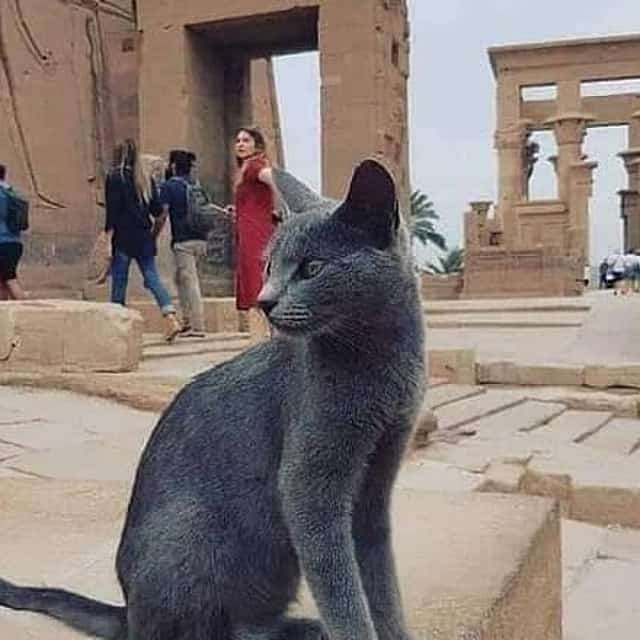 soul mate{4days luxor,aswan}