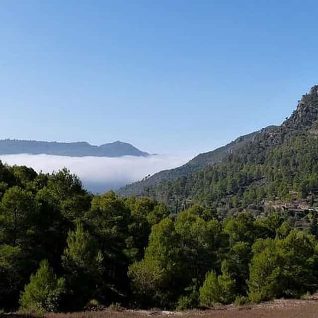 Tarragona Ruins & Priorat 1 day - Reduced group hotel pick up from Barcelona