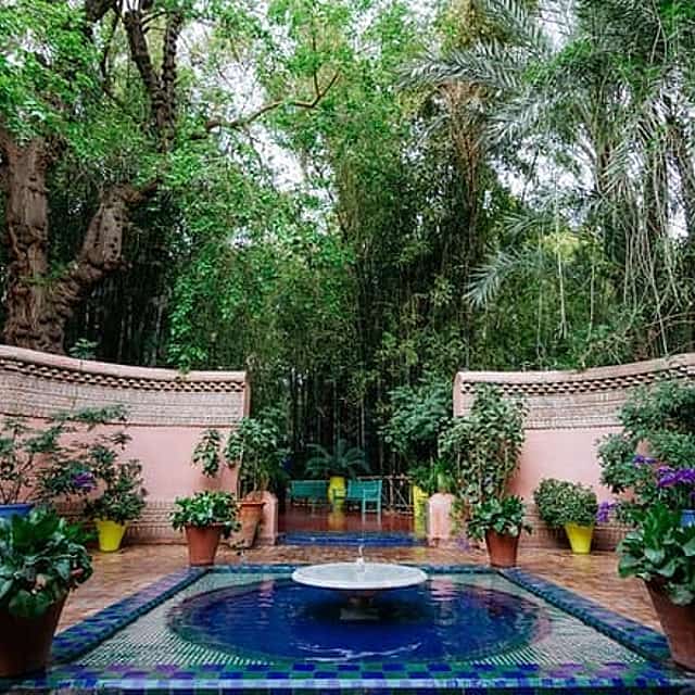 Majical Majorelle Garden and Camel Ride in Palmeraie of Marrakech