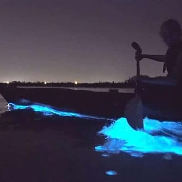 Holbox Bioluminescence: Night Kayak & Stargazing Eco Tour