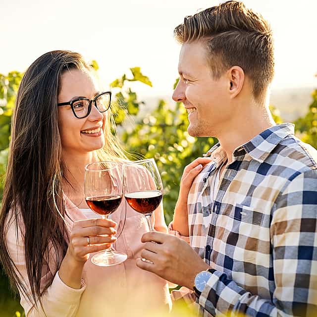 Cape Town Based Private Full-Day Winelands Tour to Paarl