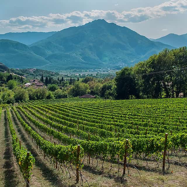 Wine Roads Private Day Tour: Corinth, Ancient Nemea and Optional Winery Visit
