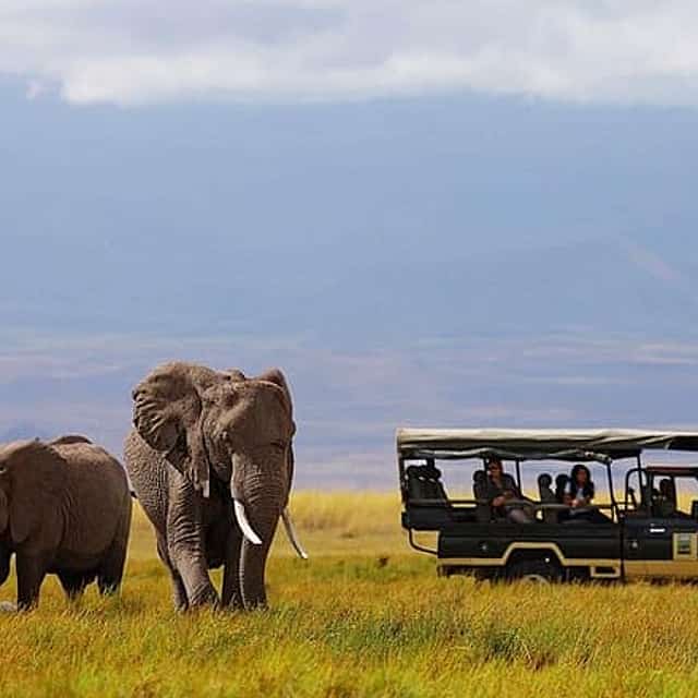7 Days Breathtaking Kenya Wildlife Private Safari