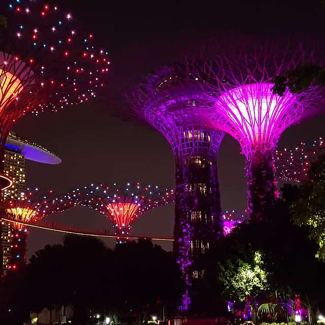 Evening Gardens by the Bay Private Walking Tour