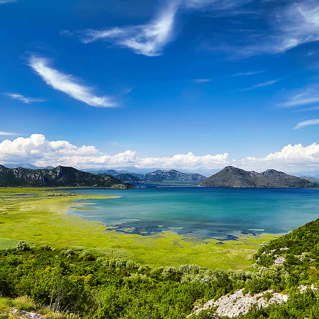 Pêcherie de Virpazar, lac Skadar et excursion privée à Budva
