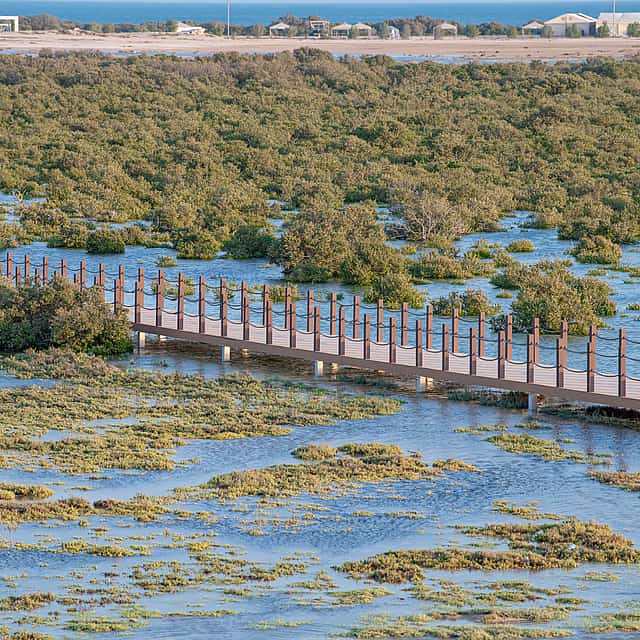 `Dukhan a Zekreet Tour`