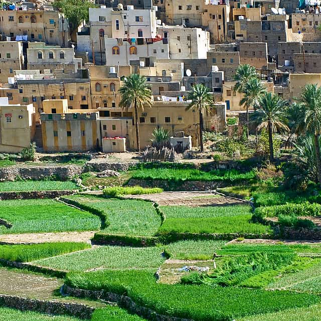Bilad Sayt & Nizwa Expedition