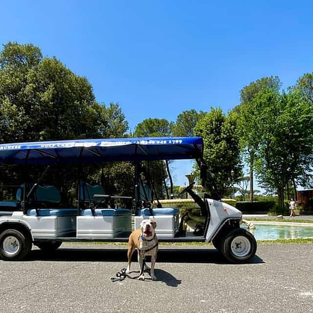 Rome Half Day: Private Golf Cart Adventure & Wine Tasting in an Ancient Cellar