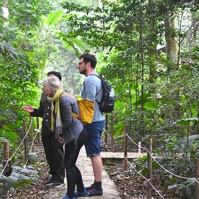 De Ninh Binh al Parque Nacional Cuc Phuong, Trekking y Selva