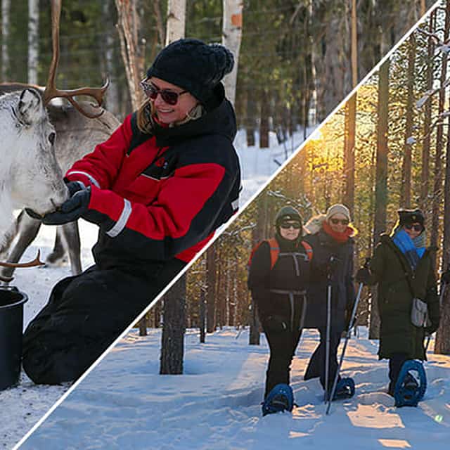 Snowshoeing to a Private Reindeer Forest & Reindeer Herder’s Day with Lunch, Levi