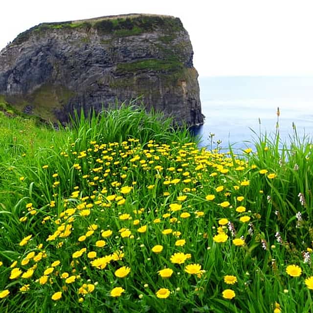 3-Day Essence of Faial: Volcanoes, Craters & Atlantic Horizons
