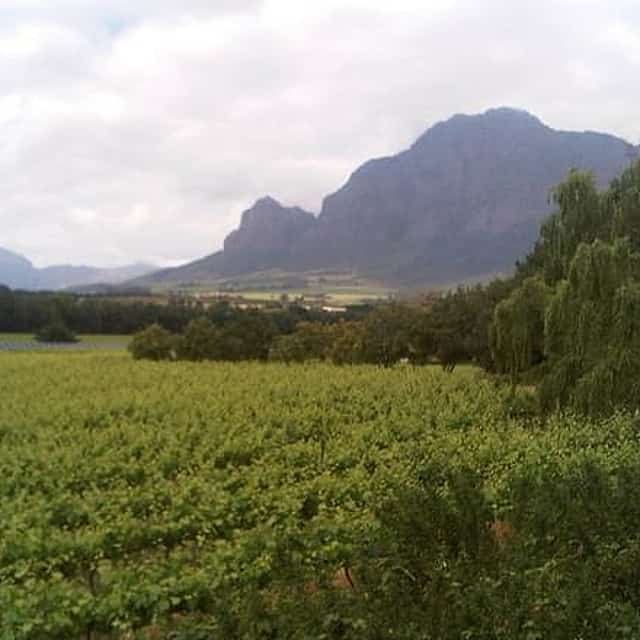 Private Cape Winelands Tour from Cape Town