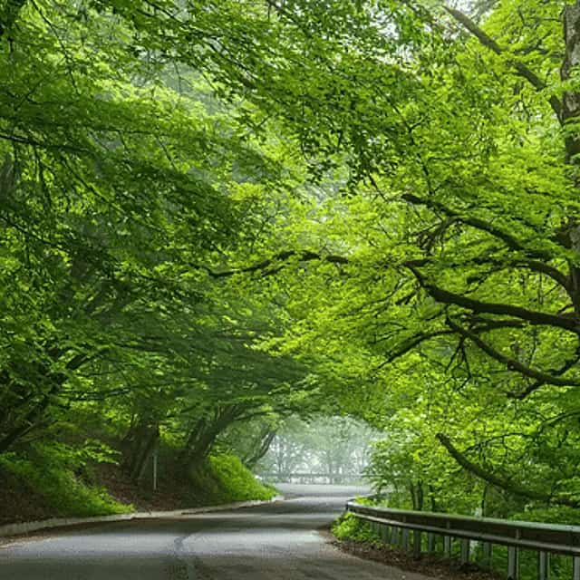 Ontdek Sabaduri Woud & Meer: Nationaal Park Avontuur