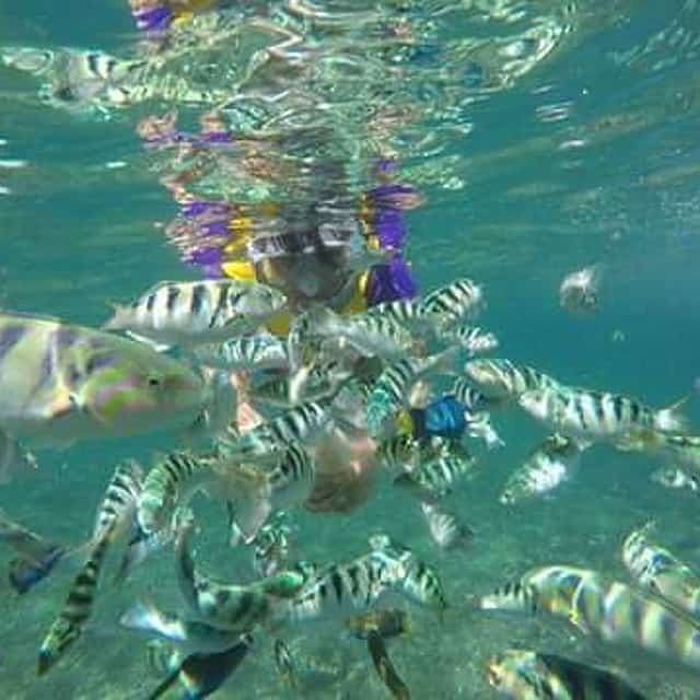 Blue Lagoon Snorkeling