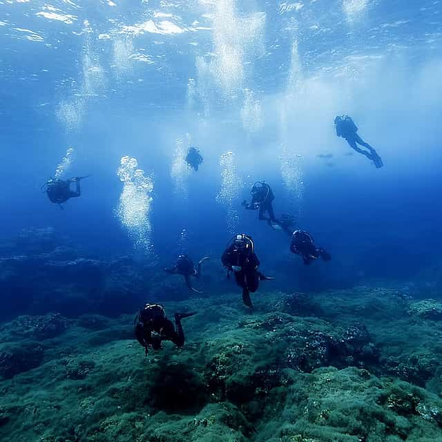 Become a Certified Open Water Diver from Azores - Santa Maria Island  - Your Underwater Adventure Starts Here!