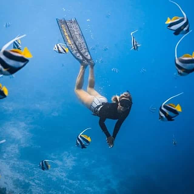 Private Los Cabos snorkeling tour to Chileno bay and Santa Maria cove