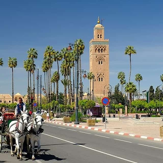 Marrakech City Highlights Half-Day Tour