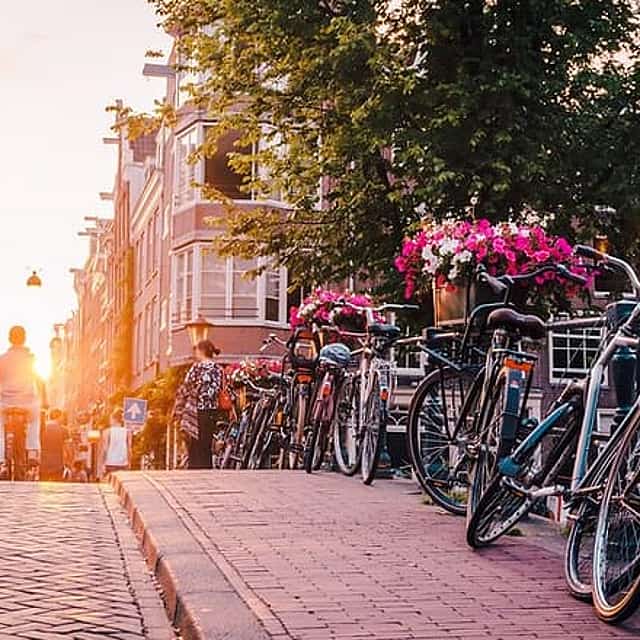 Bruges to Amsterdam Private Transfer with Antwerp Stop