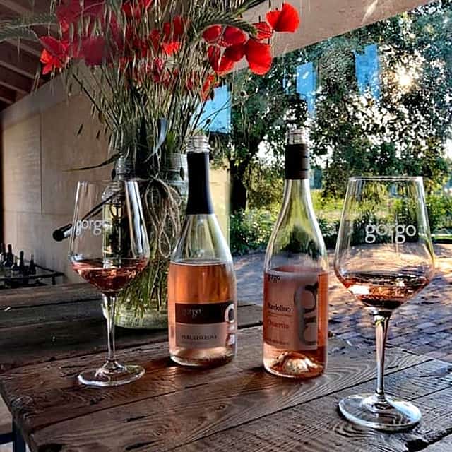 Tour and tasting of 3 organic wines near Custoza