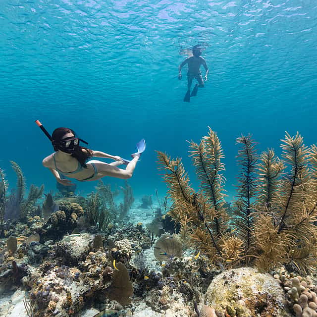 Snorkelen bij Blue Lagoon Bali