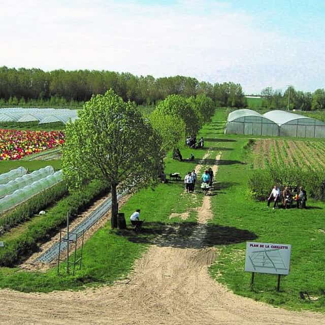 <p>Gastronomischer Privatrundgang: Obst- und Gemüseernte in Paris</p>
