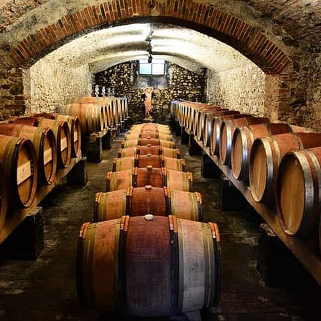 Exclusive Private Chianti Classico Experience Day Trip from Florence