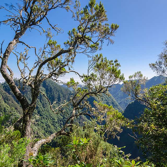 Ribeiro Frio, Portela Excursión de senderismo de día completo.
