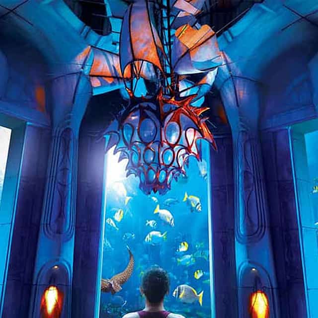 Bilet do akwarium Lost Chambers Atlantis