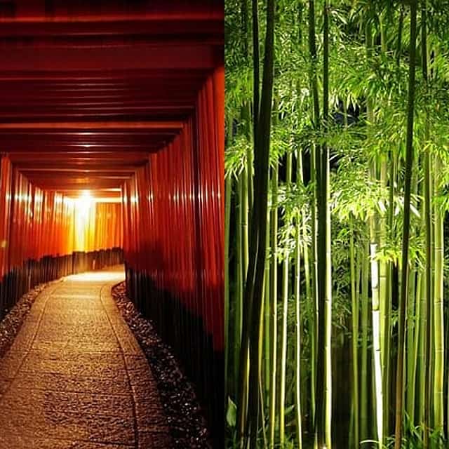 Kyoto Fushimi-Inari and Arashiyama Night Walking Tour