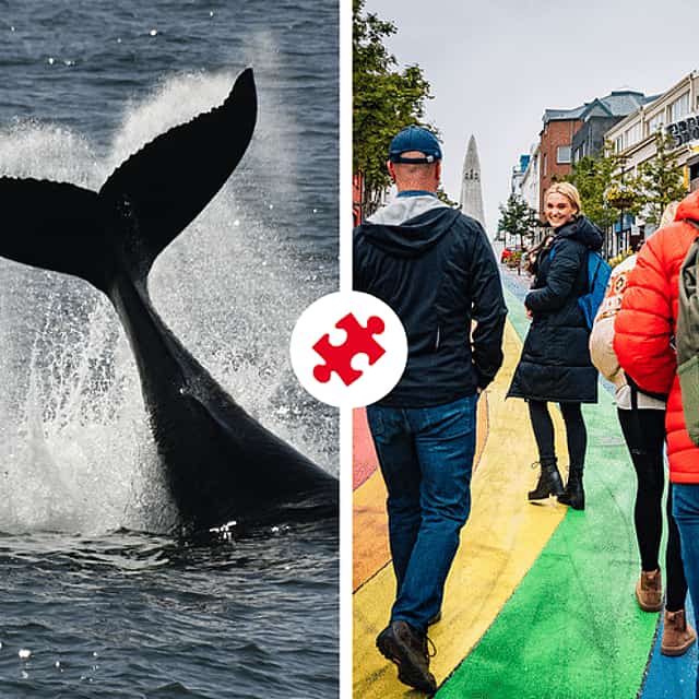 Whale Watching & The Reykjavík Food Walk