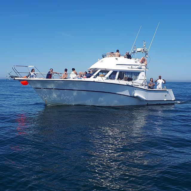 Viaje de pesca privado de 4 horas - Hasta 10 personas
