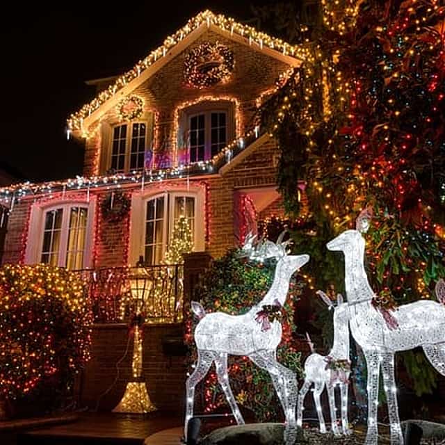 Tour New York City Contrasts and Dyker Heights Lights