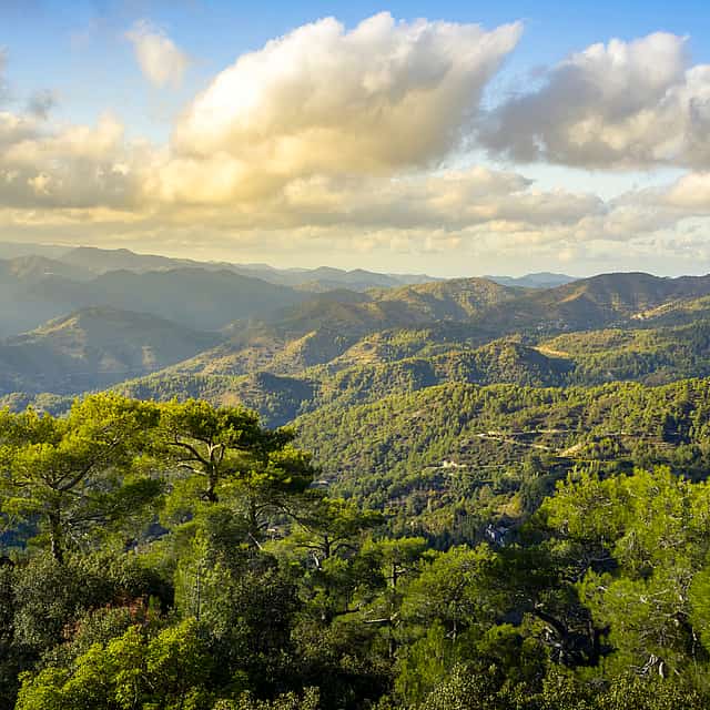 Full-day Troodos Mountains and Nicosia Tour