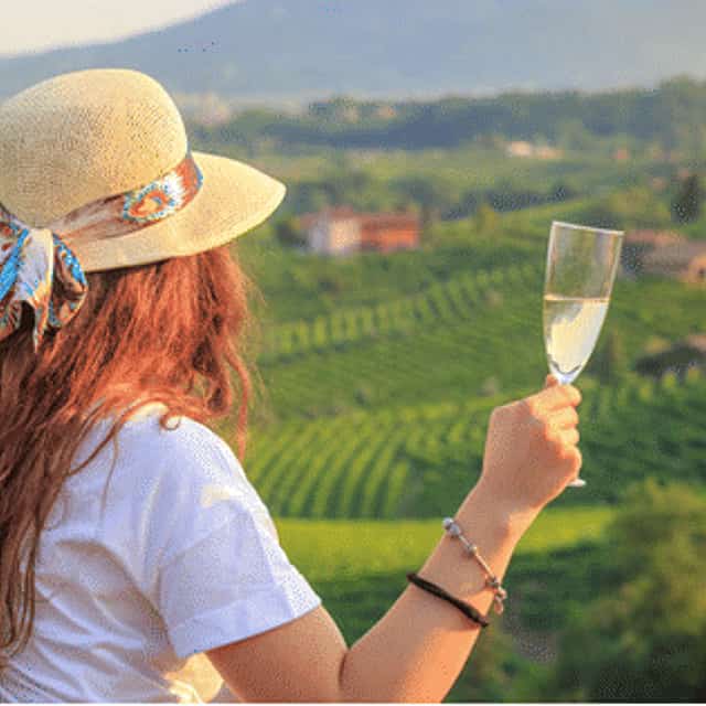 Discovery tour of the prosecco region with tastings from Venice