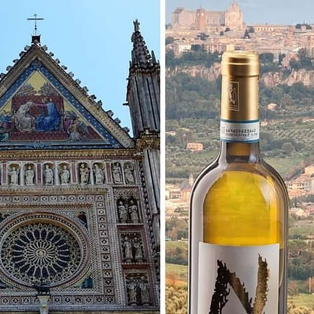 Rome to Orvieto: Basilica, Well, Underground tour + Wine Tasting