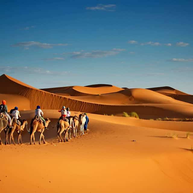 Evening Desert Safari with Quad Bike Ride in Ajman