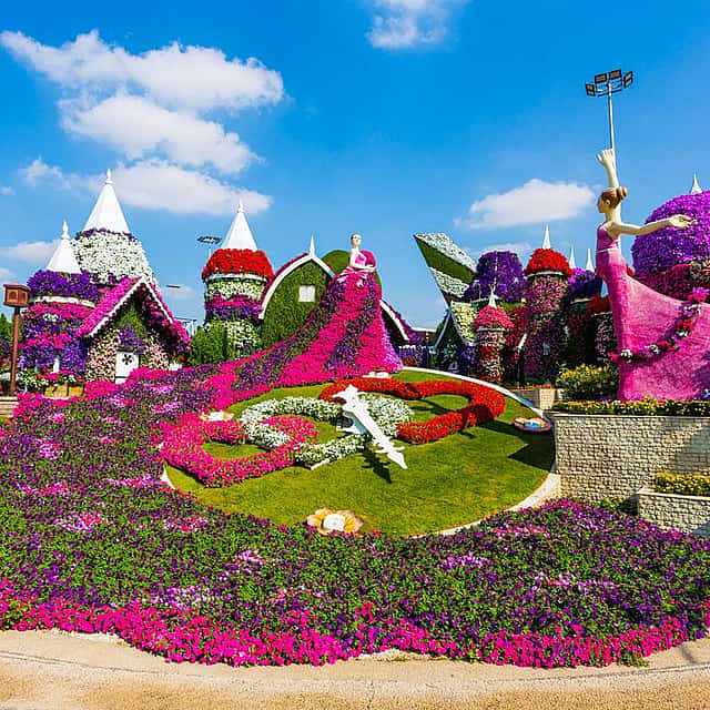 Private Dubai City tour & Miracle Garden Visit