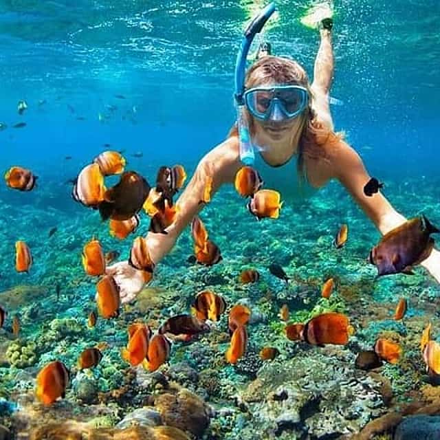 Snorkeling & Sunset BBQ Dinner In Phu Quoc Island Tour
