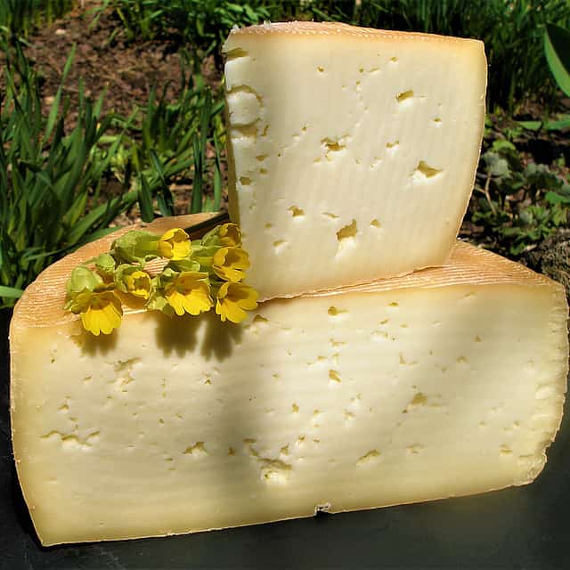 Private Tour to Mikaelyan Family Cheese Factory, Lake Sevan and Dilijan