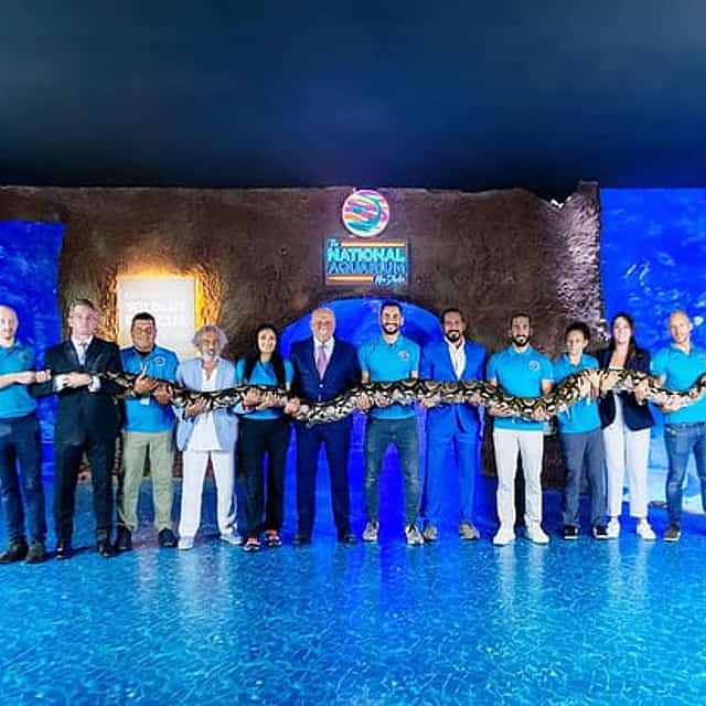 National Aquarium Abu Dhabi Tickets