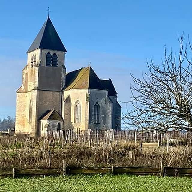 Private Burgundy 3 Domaines Chateau Pommard Chablis 15 Wines Trip