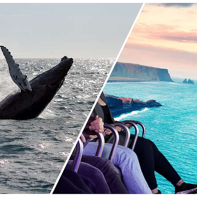 Whale Watching & FlyOver: Aerial Excursions and Oceanic Encounters