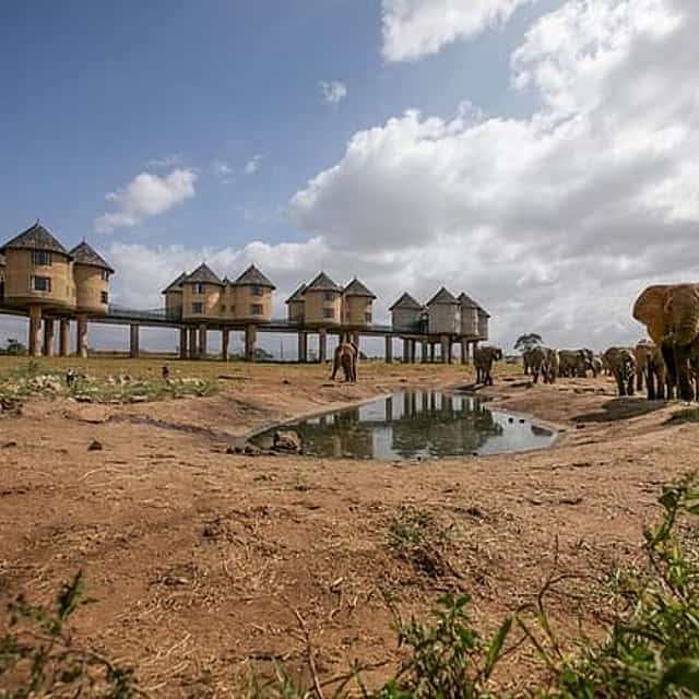 2-Day Taita Hills Wildlife Sanctuary & Tsavo East Safari -Mombasa