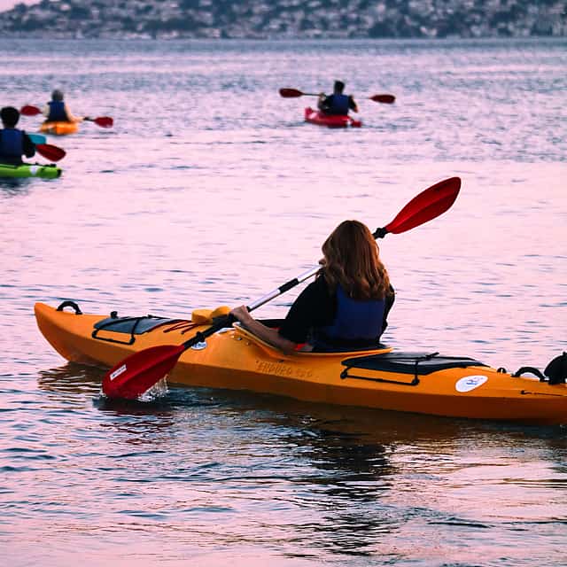 1 hours Kayak Adventure from Halic in Istanbul