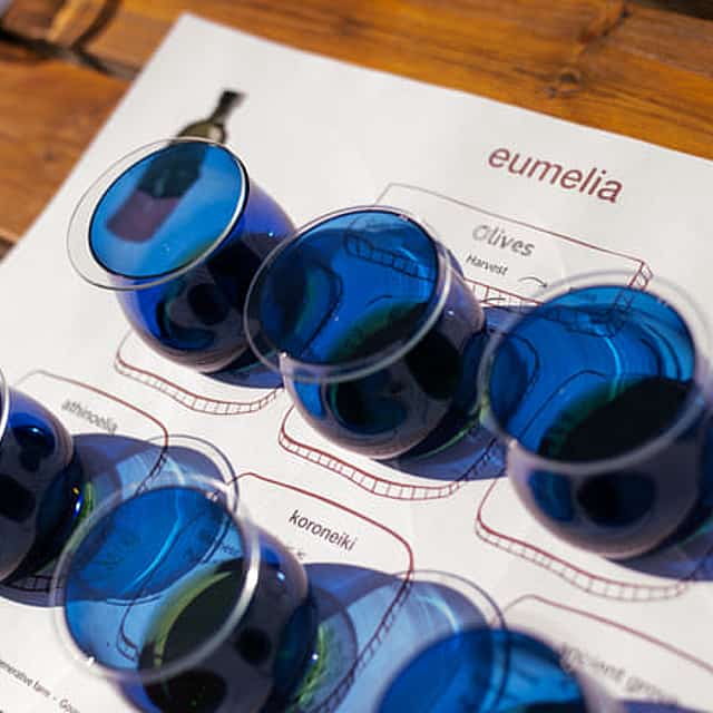 Olive Oil Tasting: Secrets from ancient olive groves