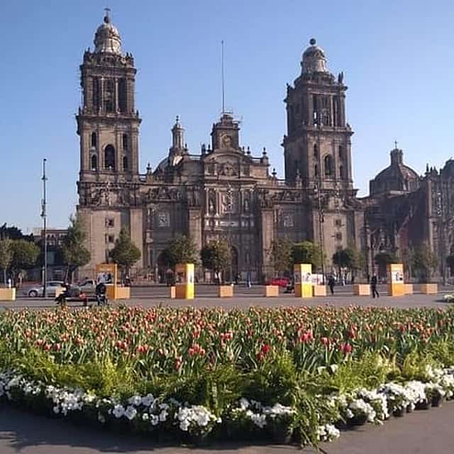 Private Tour of Mexico City with Anthropology